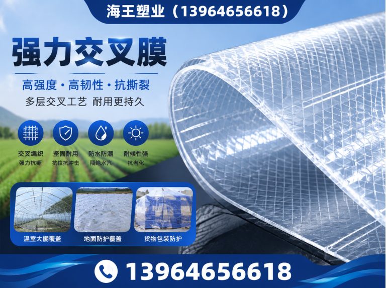 坊子区镀铝膜展示图